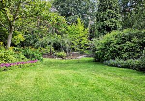Optimiser l'expérience du jardin à Bougligny